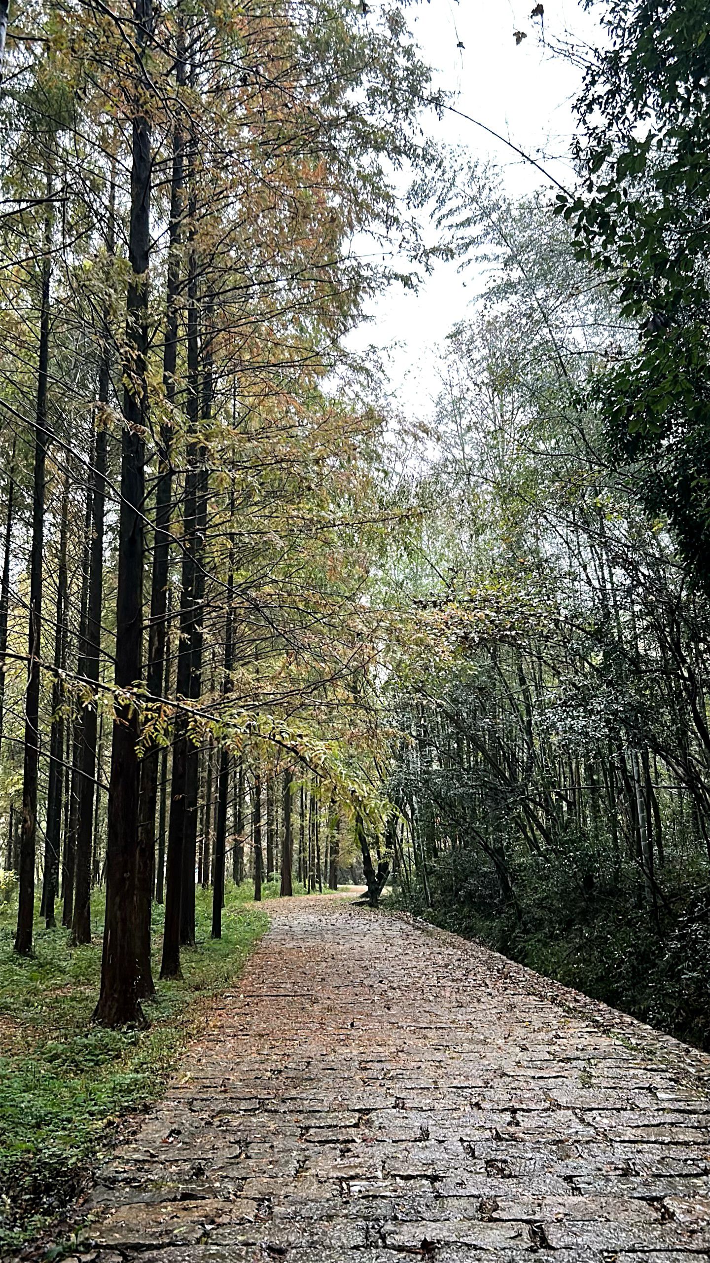 小格里自然风景区旅行图片 3