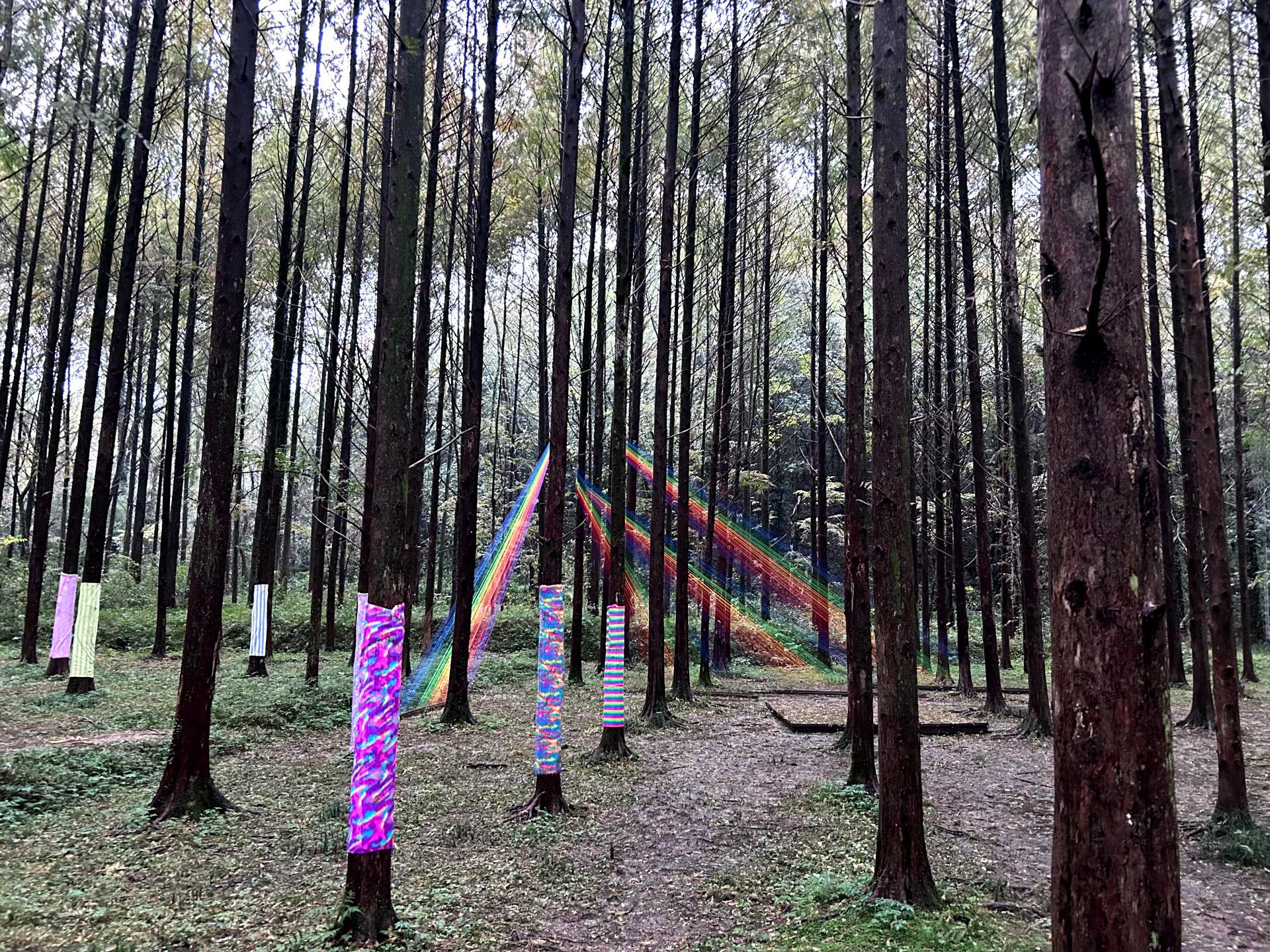 小格里自然风景区旅行图片 2