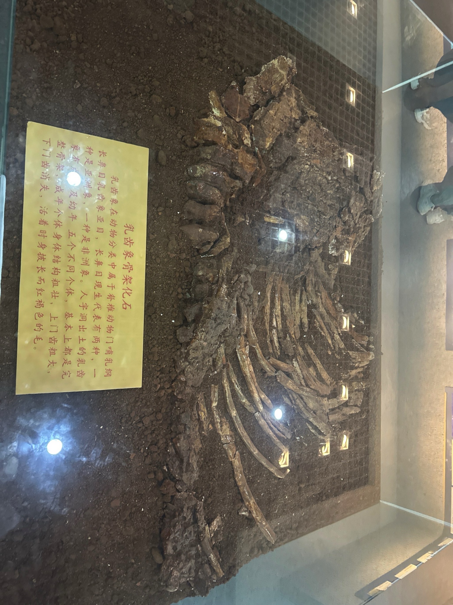 人字洞遗址旅行图片 2