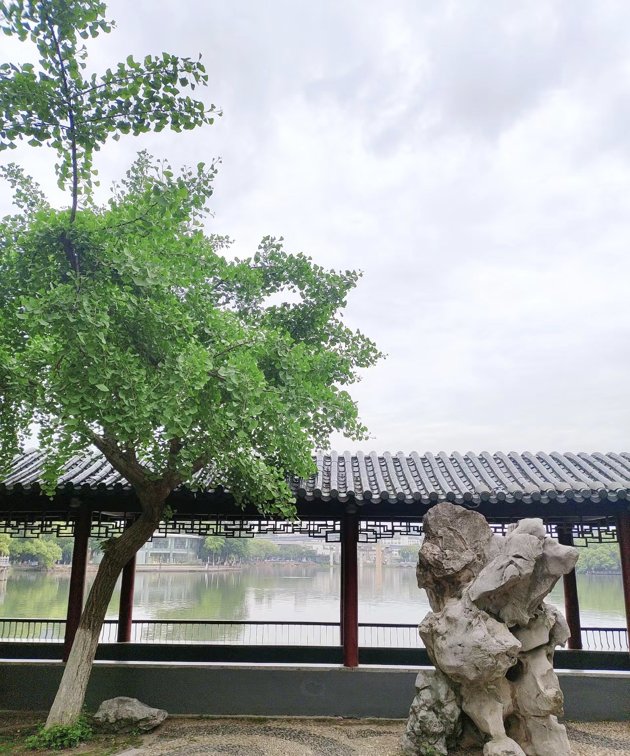 鸠兹风景区旅行图片 3
