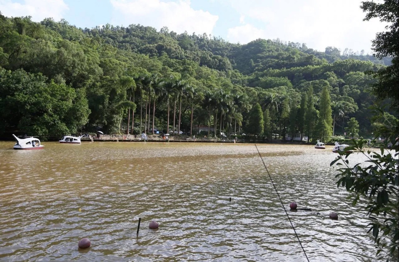银湖公园旅行图片 3