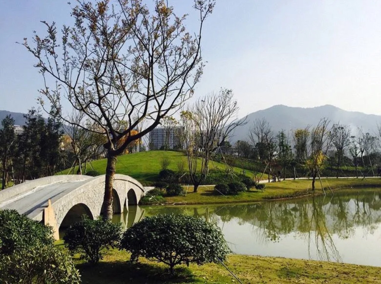 银湖公园旅行图片 1