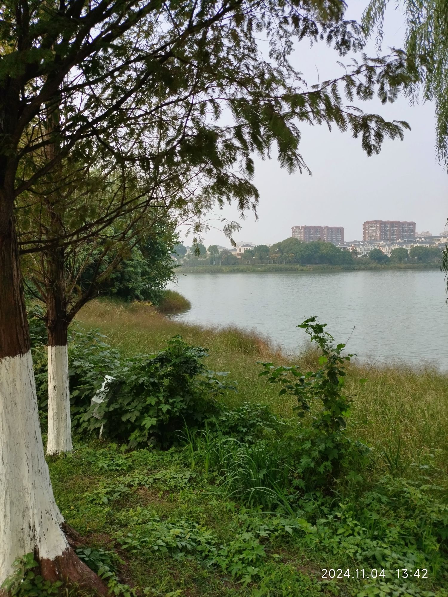 银湖公园旅行图片 3