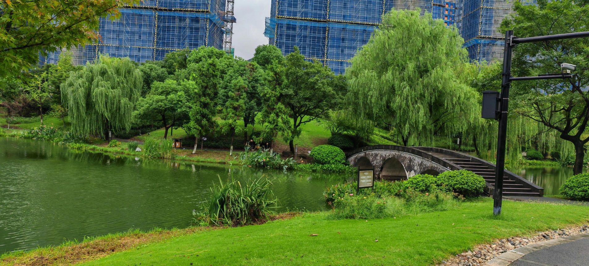 银湖公园旅行图片 3