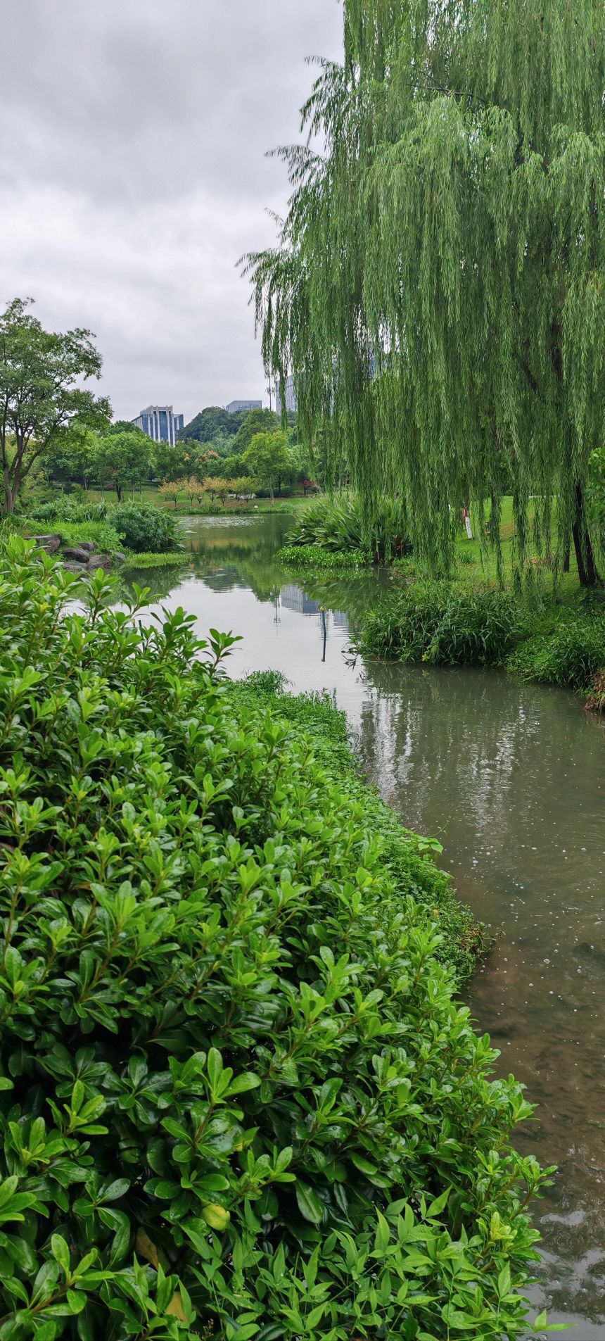 银湖公园旅行图片 2