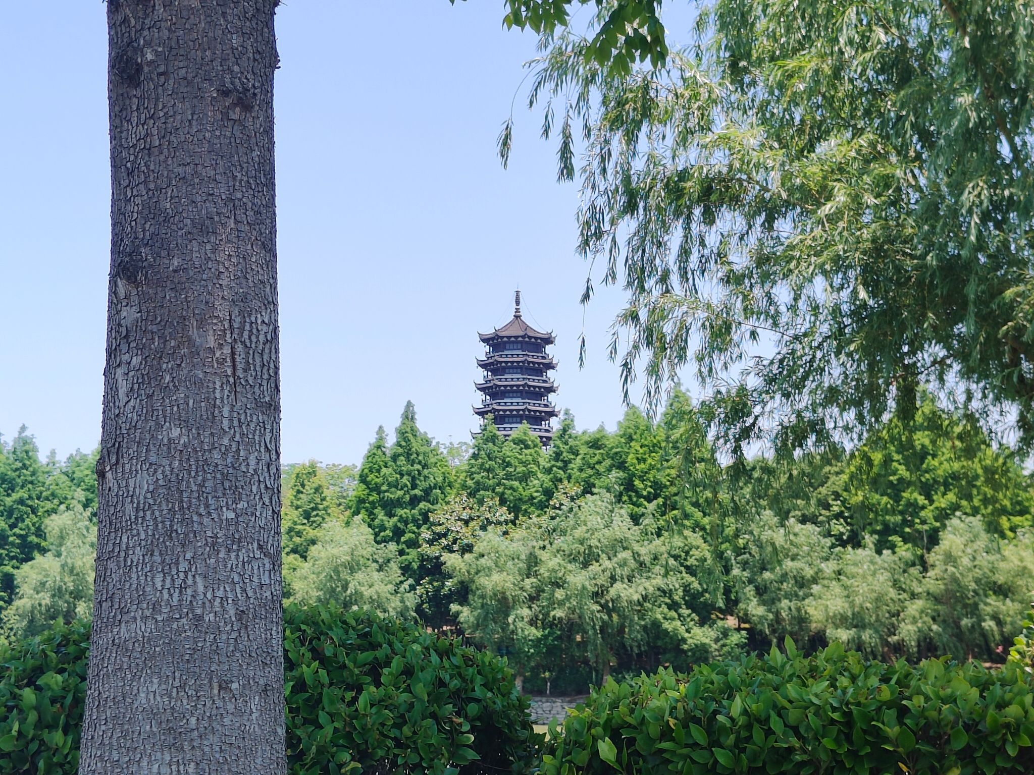 东湖公园旅行图片 2