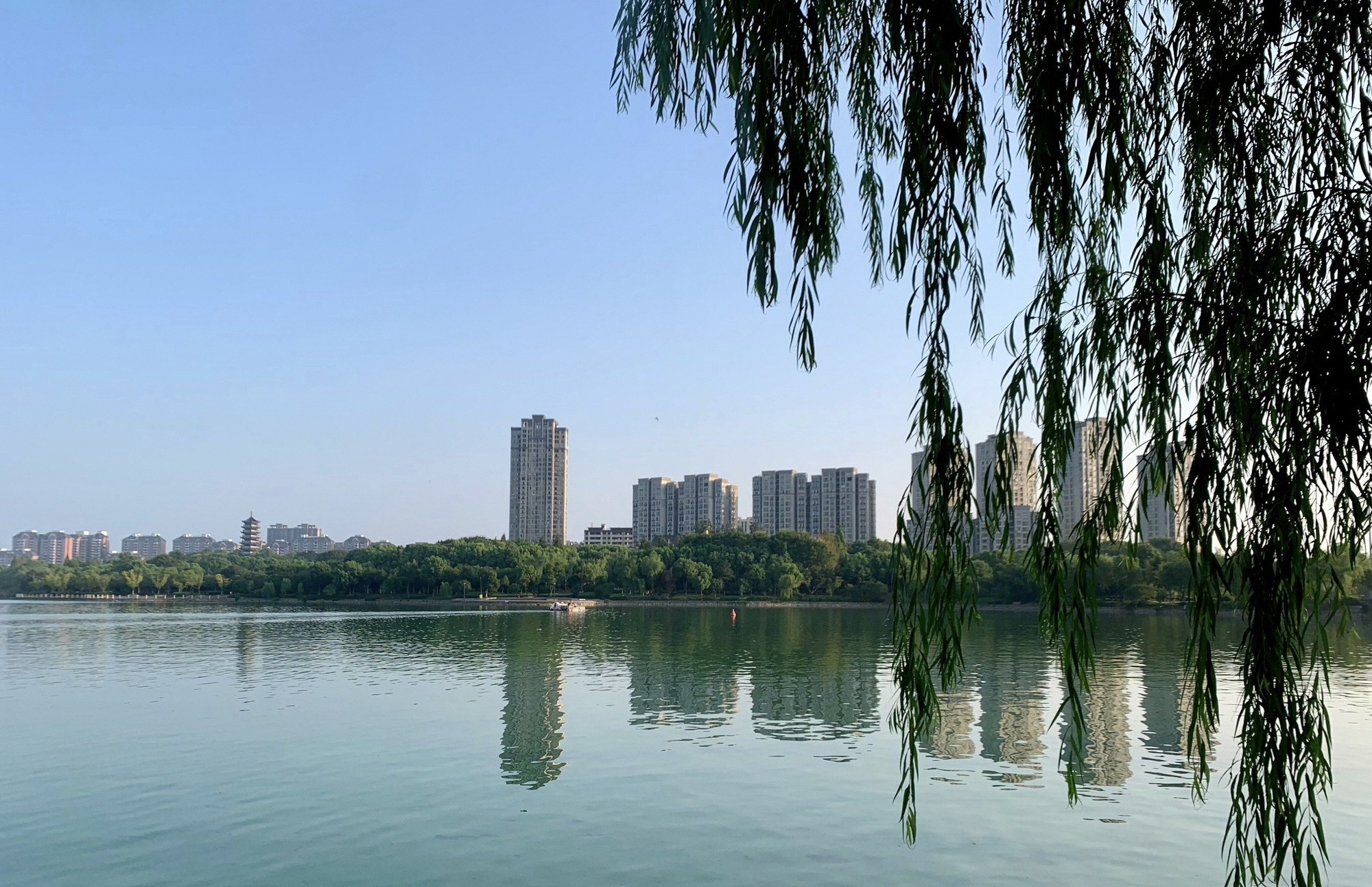 东湖公园旅行图片 3