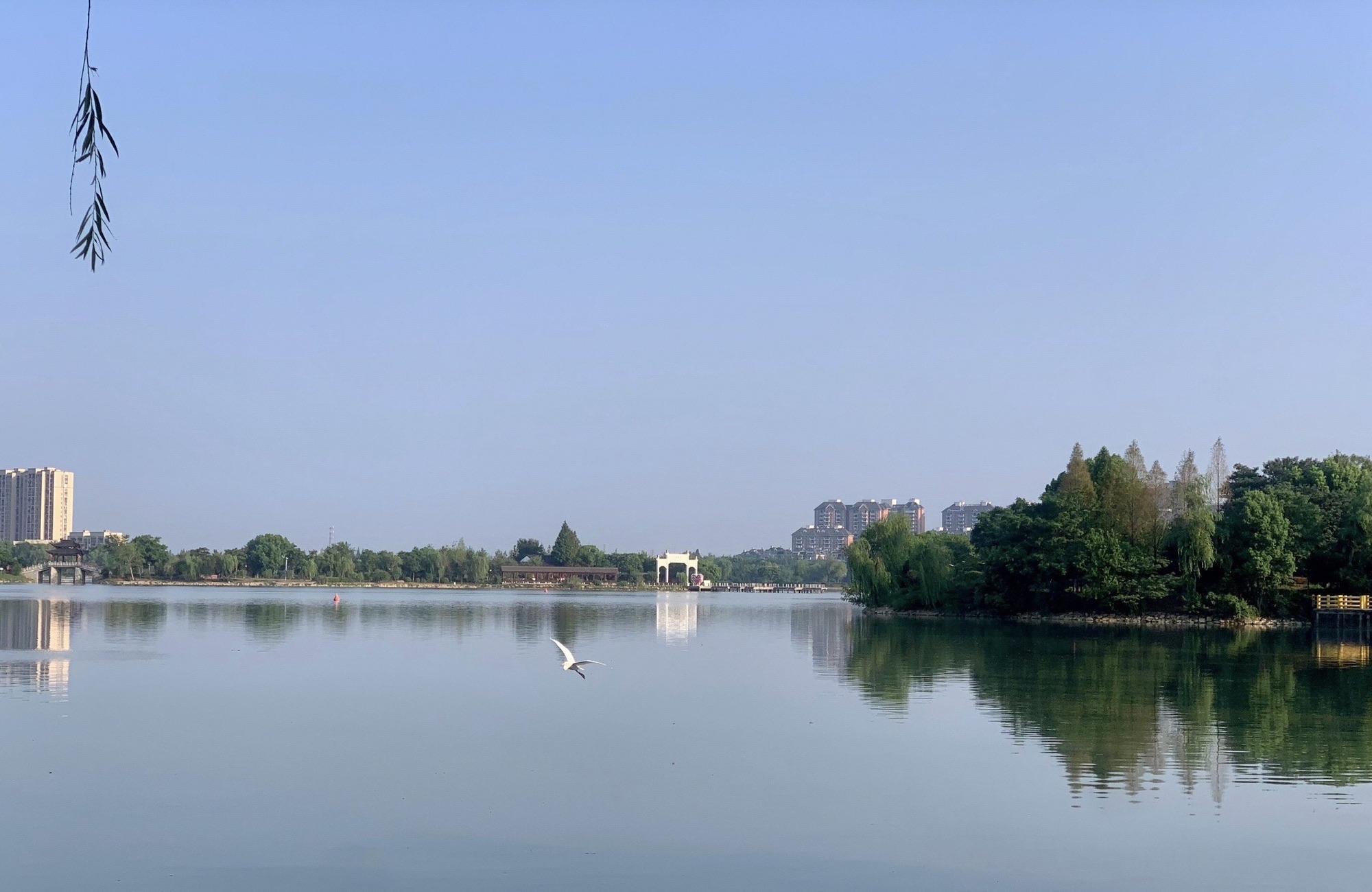 东湖公园旅行图片 1