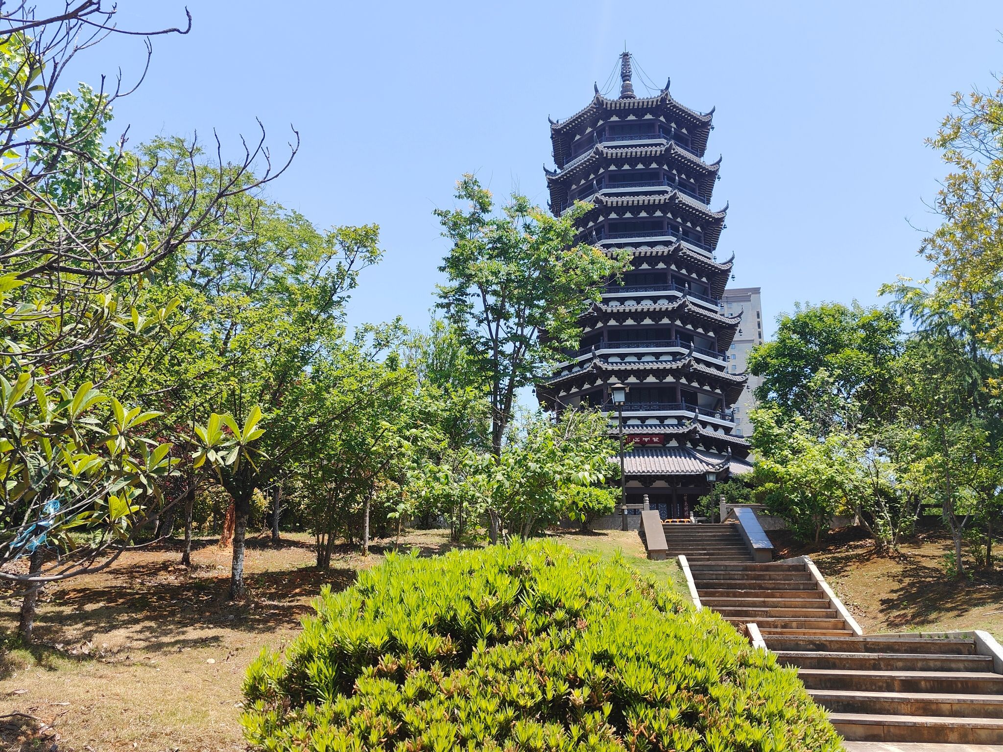 东湖公园旅行图片 3