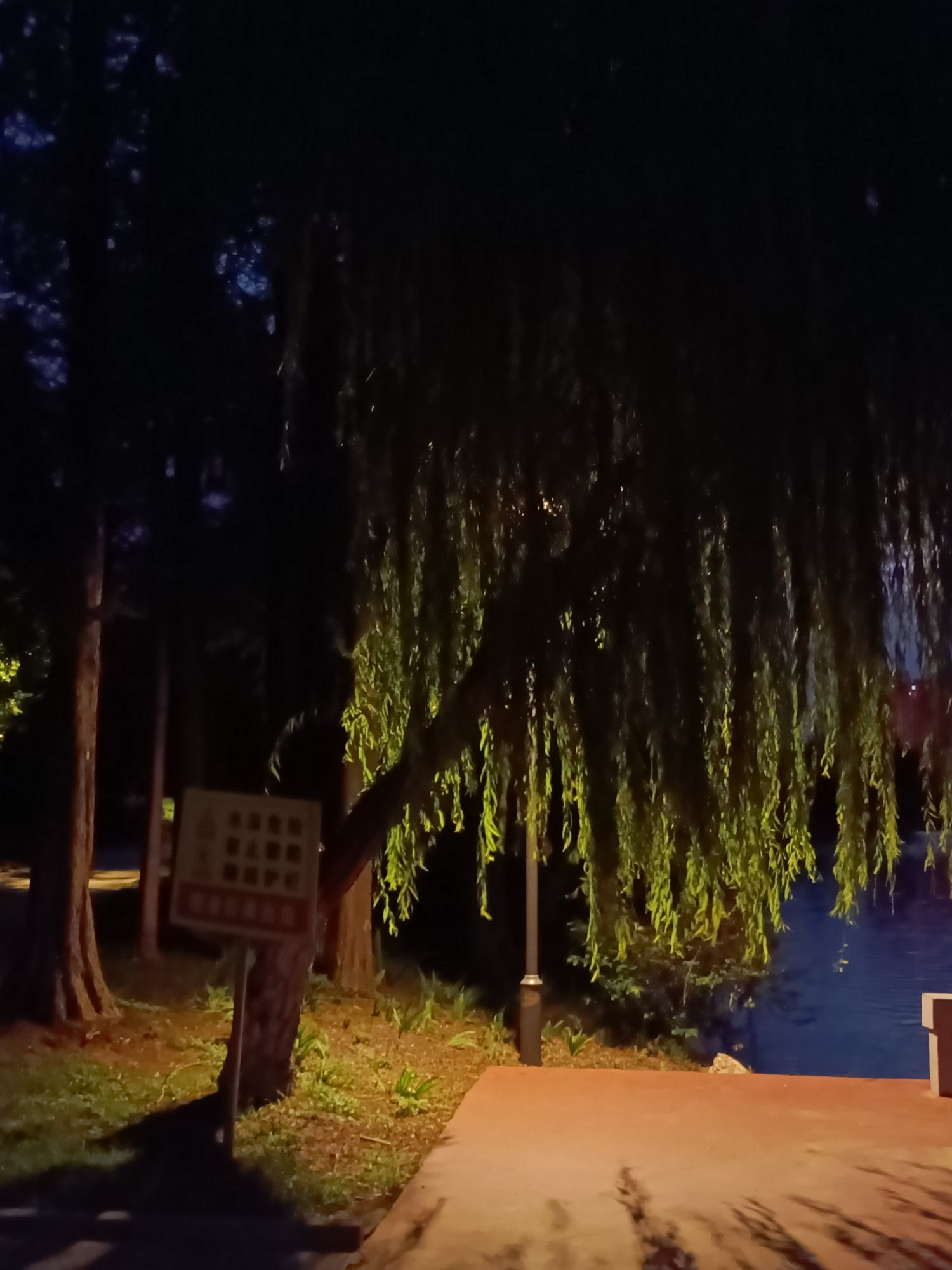 东湖公园旅行图片 2