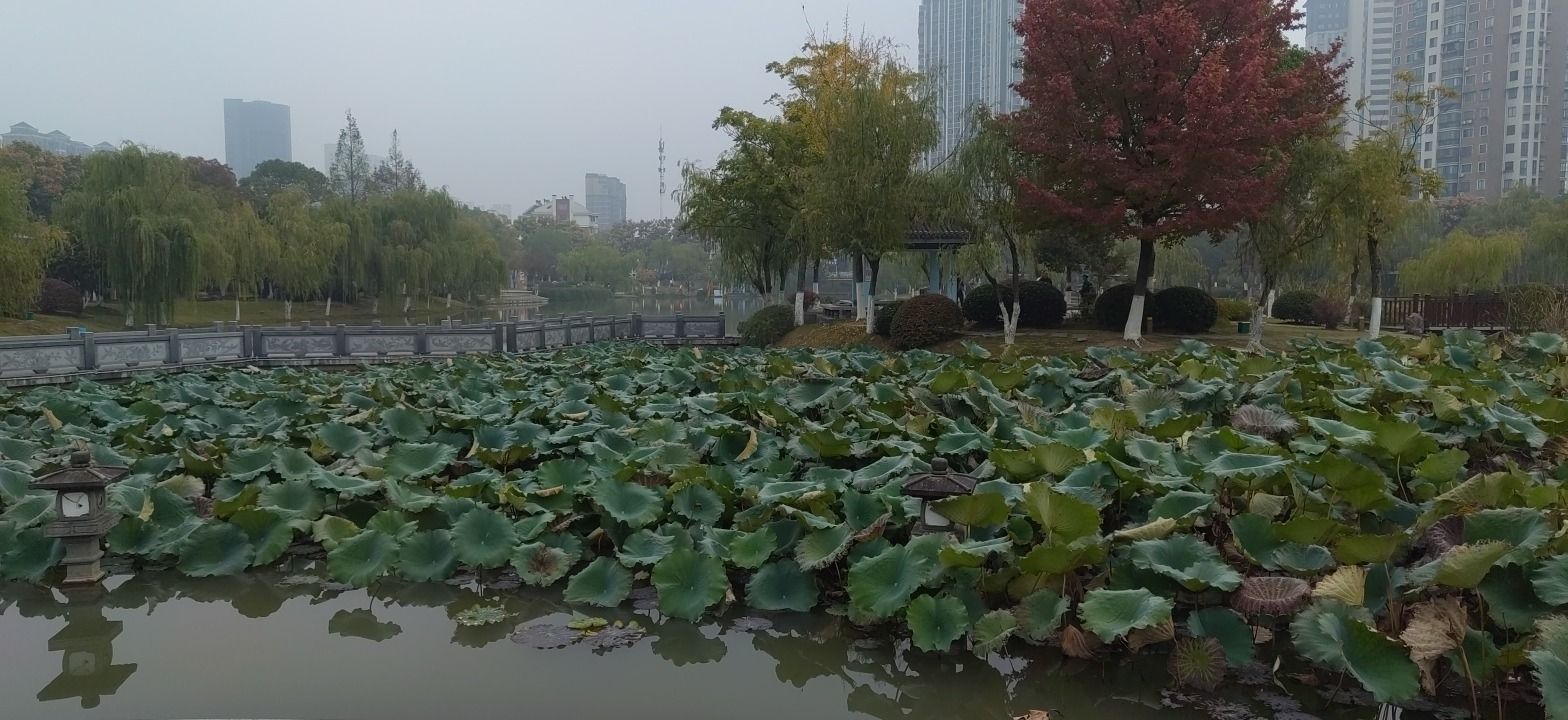 春谷公园旅行图片 3