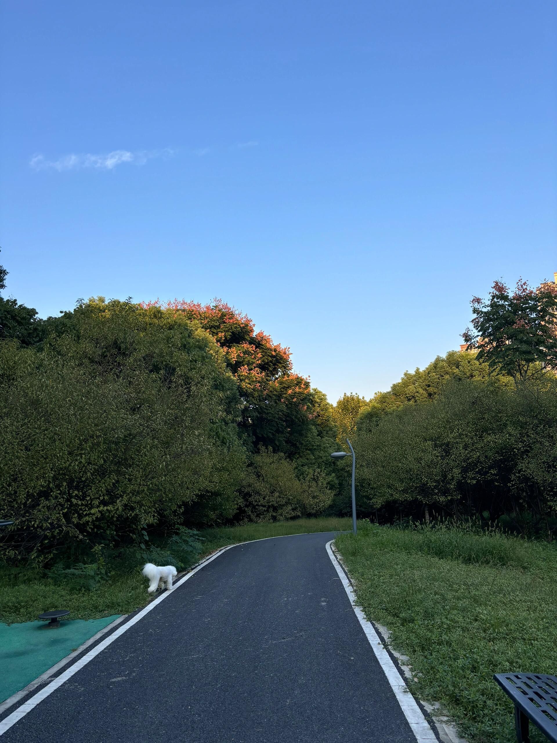 春谷公园旅行图片 3