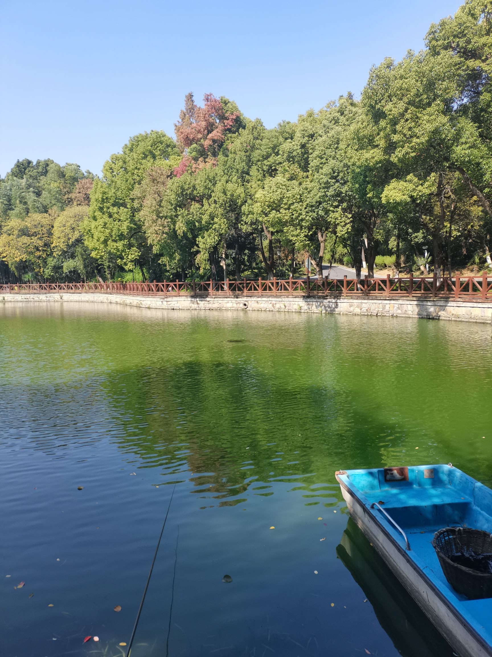 南陵广场旅行图片 1