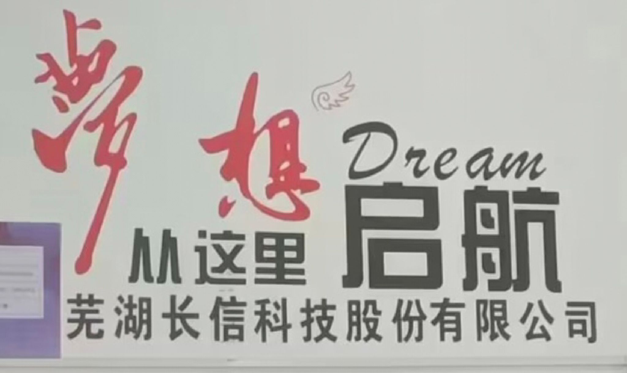 芜湖长信科技股份有限公司