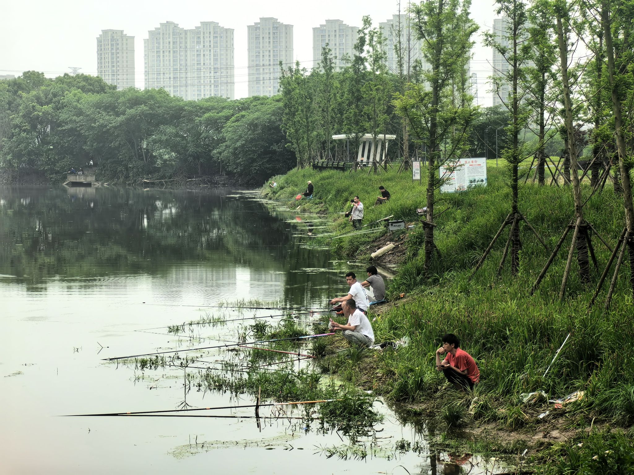 龙山公园旅行图片 2