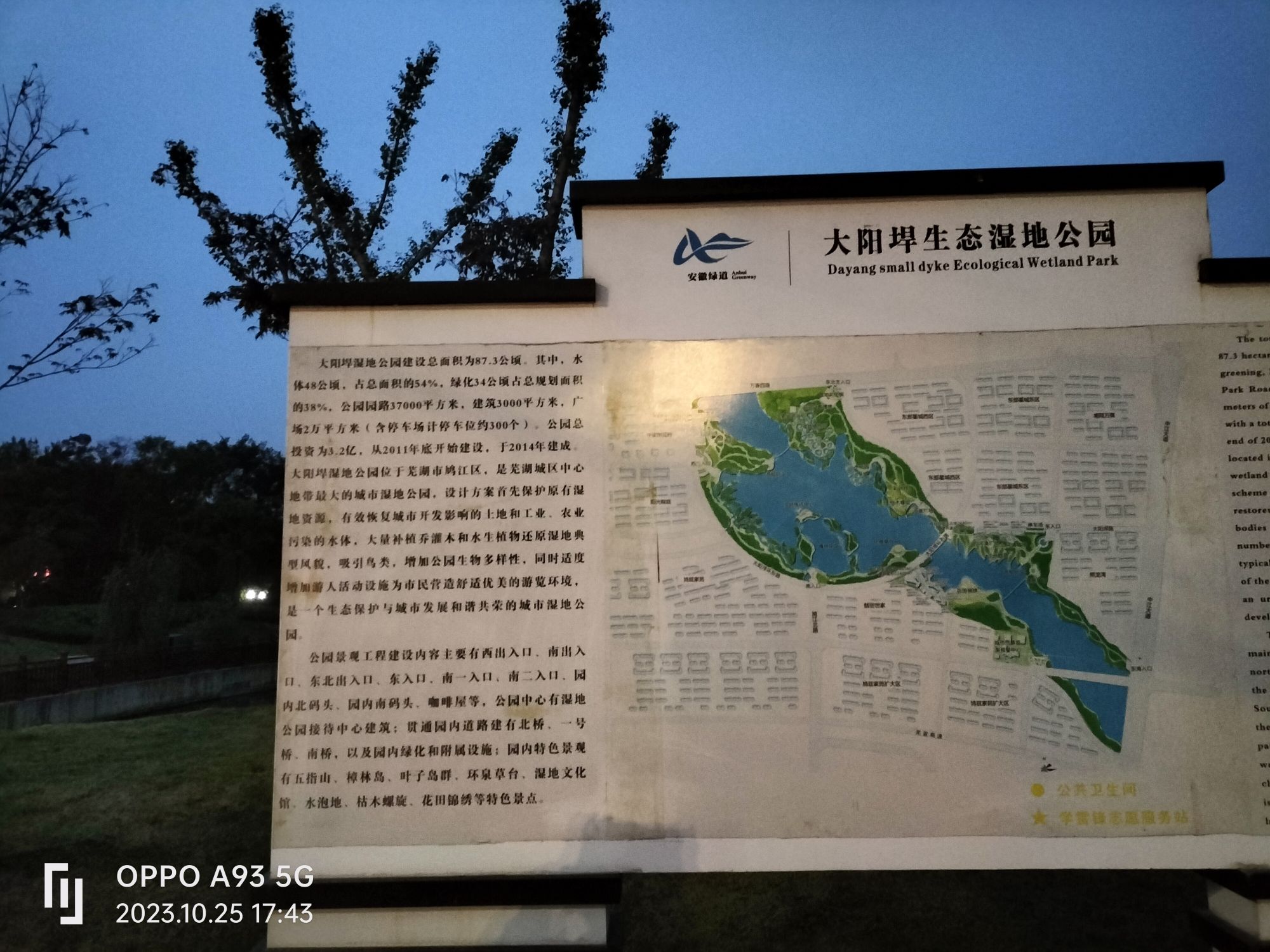 大阳垾湿地公园旅行图片 2