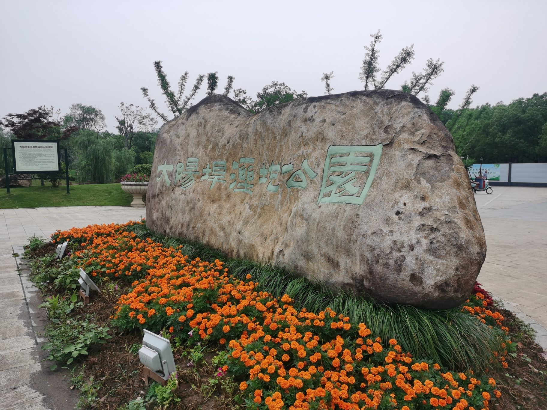大阳垾湿地公园