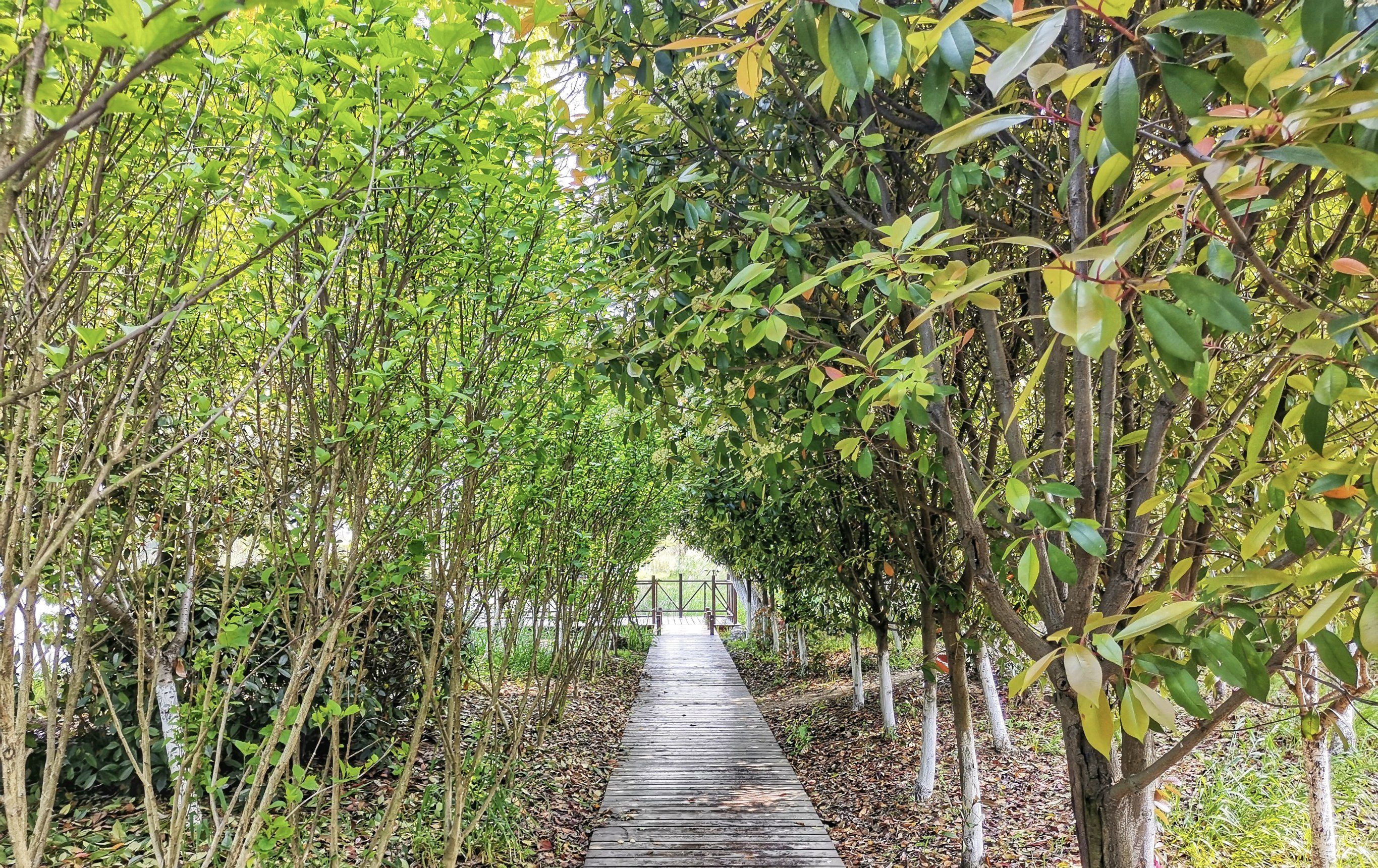 大阳垾湿地公园旅行图片 3