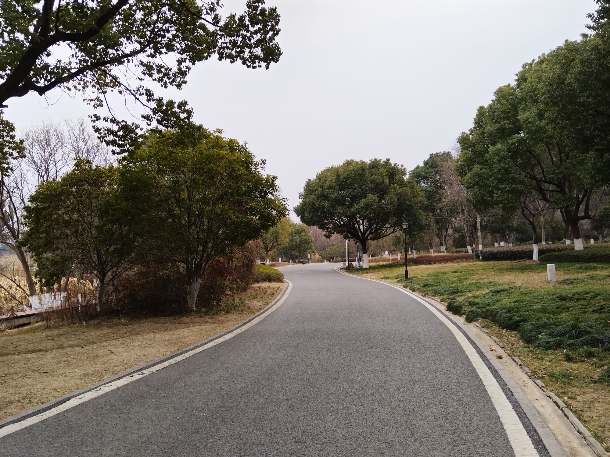大阳垾湿地公园旅行图片 2