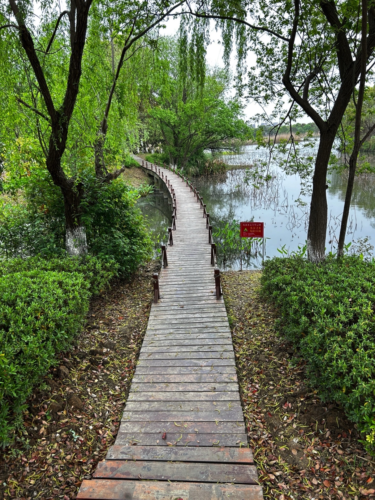 大阳垾湿地公园旅行图片 3