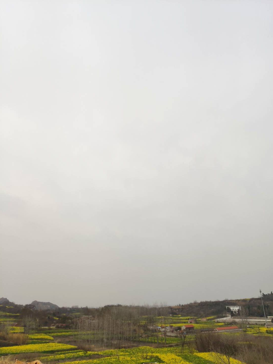 南塘公园旅行图片 3