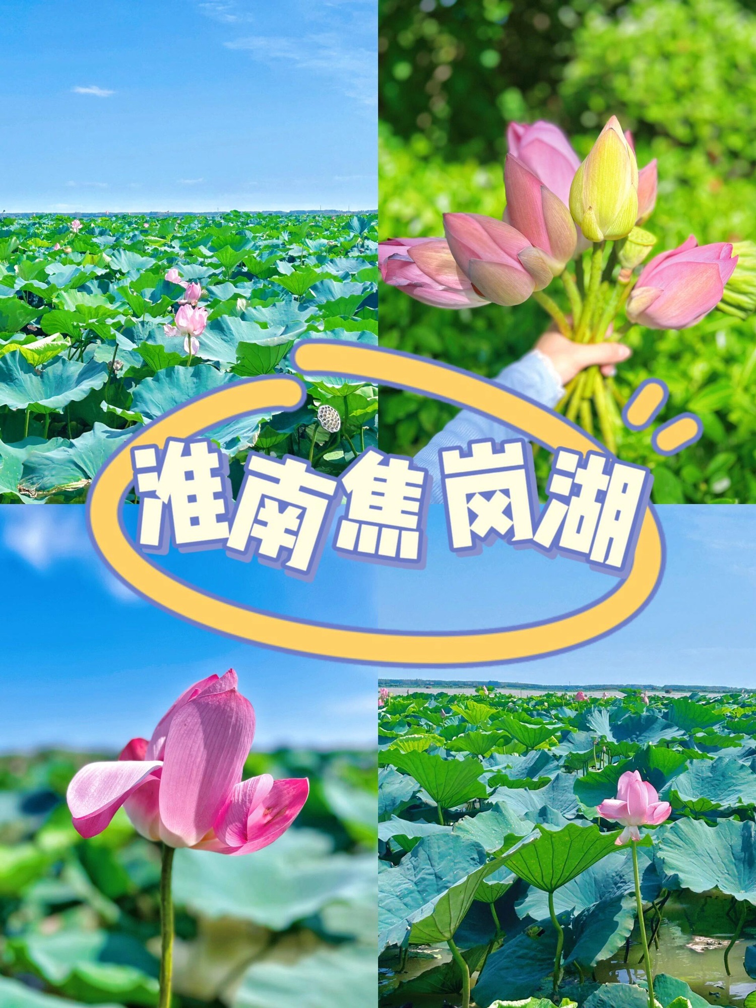焦岗湖景区旅行图片 1