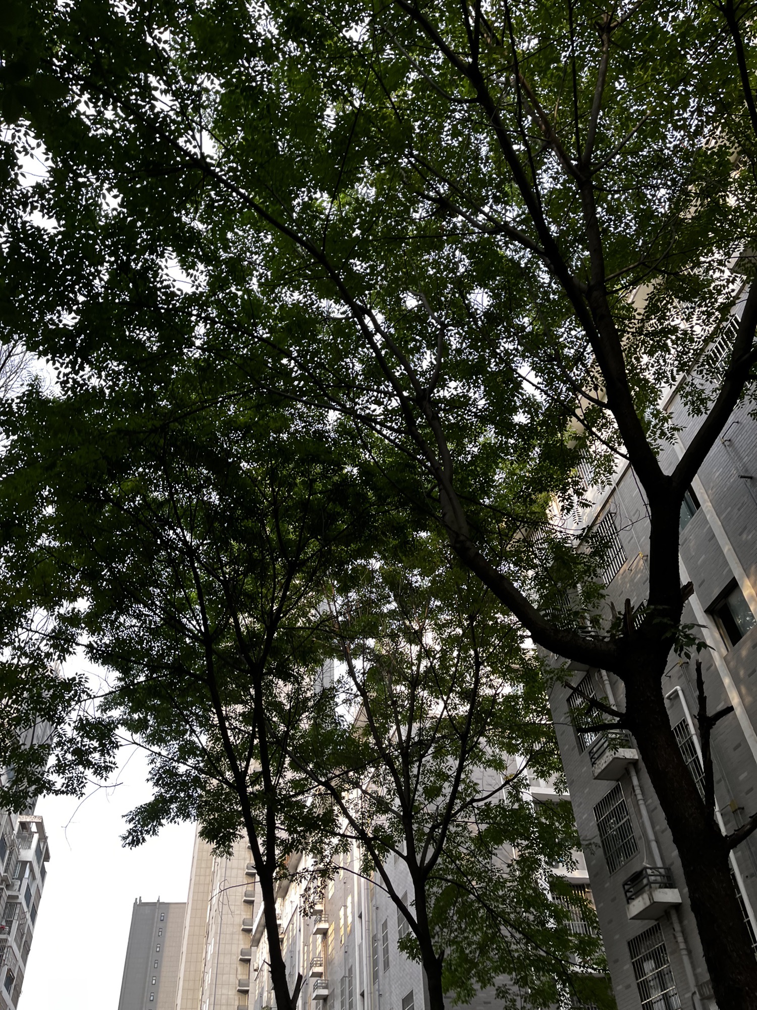 卧龙山庄