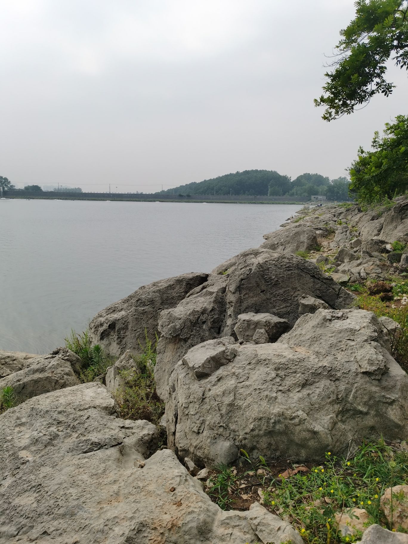 卧龙山公园旅行图片 3