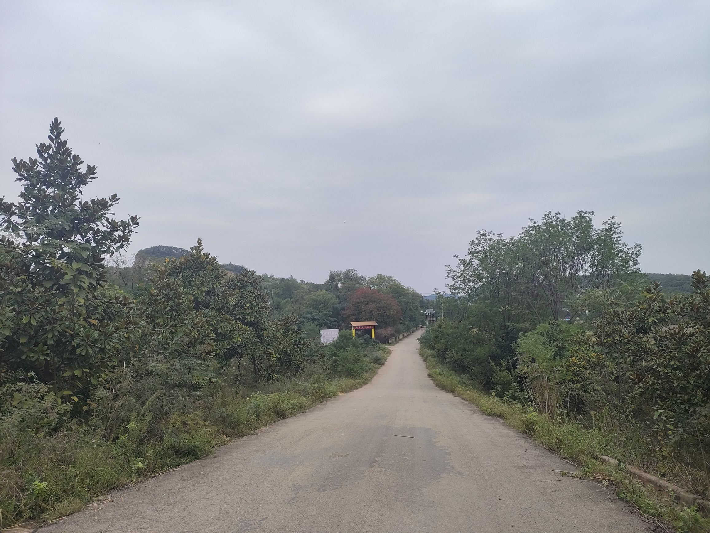 卧龙山公园旅行图片 1