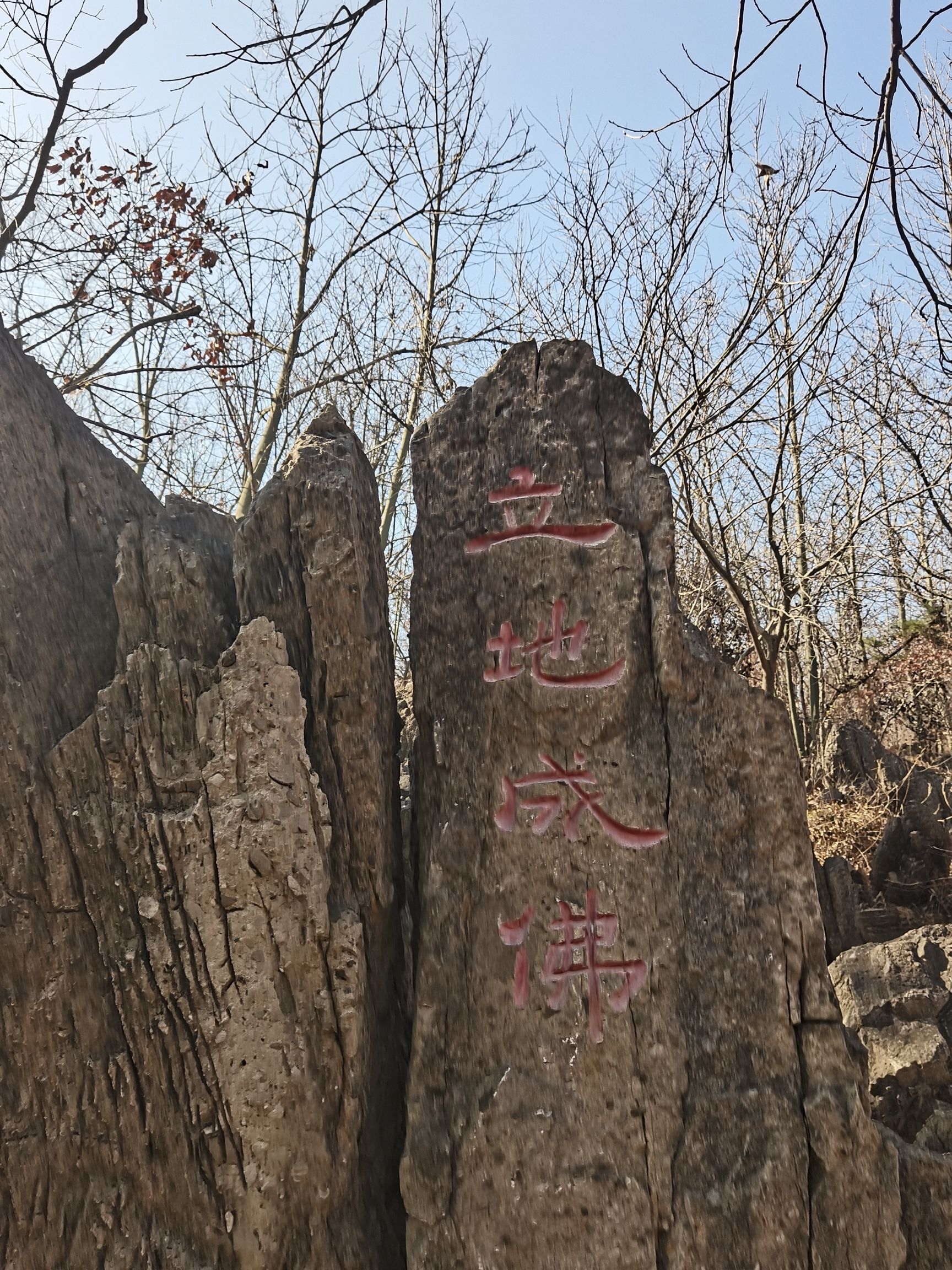 淮南八公山风景区旅行图片 1
