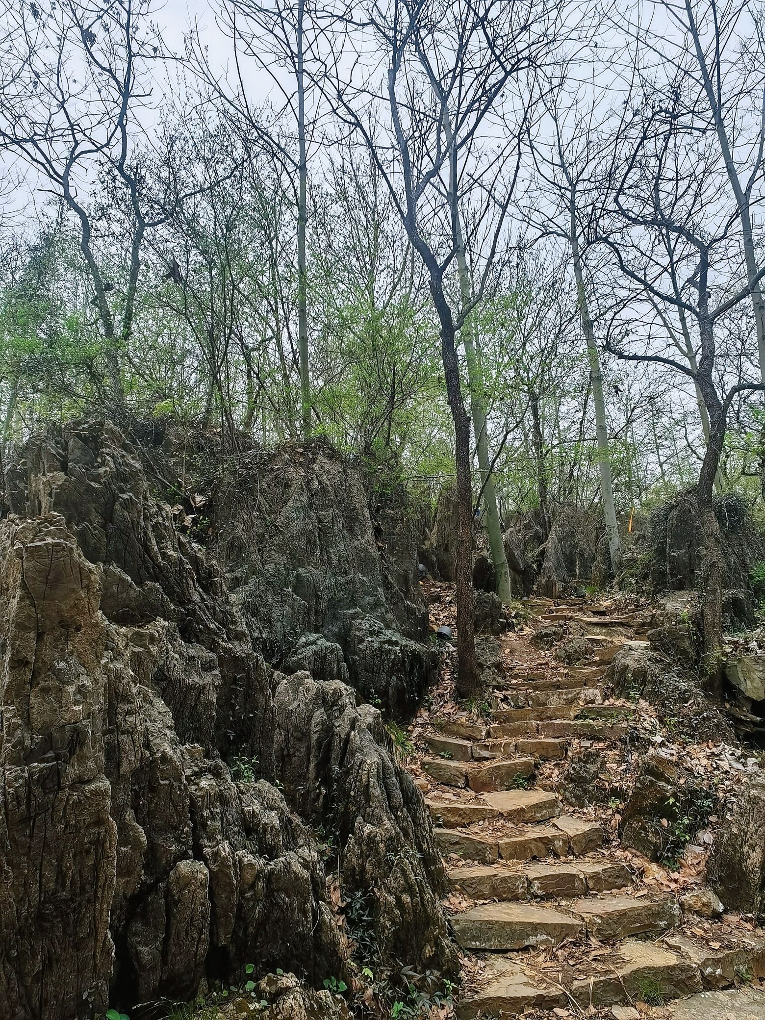 淮南八公山风景区旅行图片 2