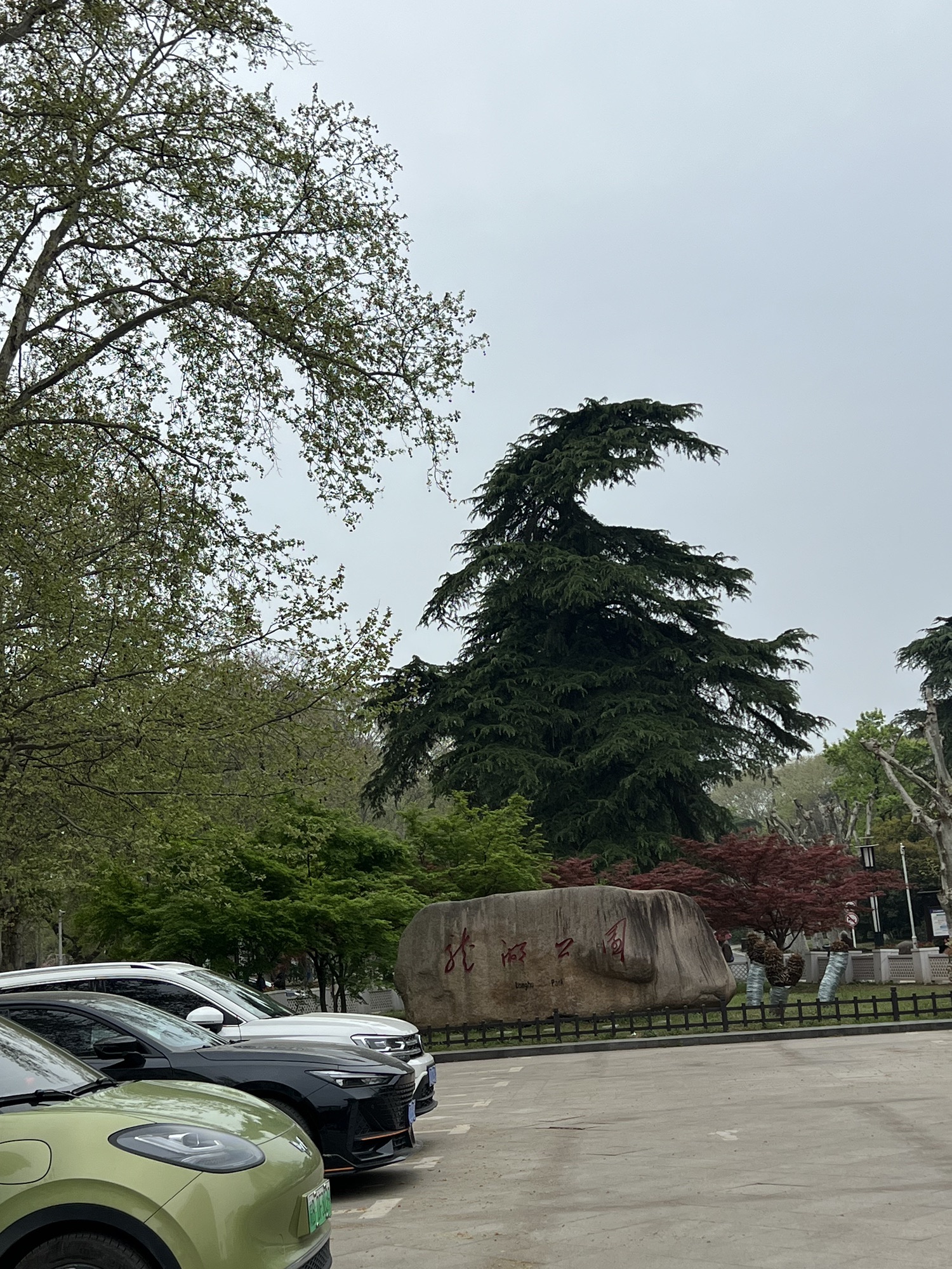 龙湖公园旅行图片 1