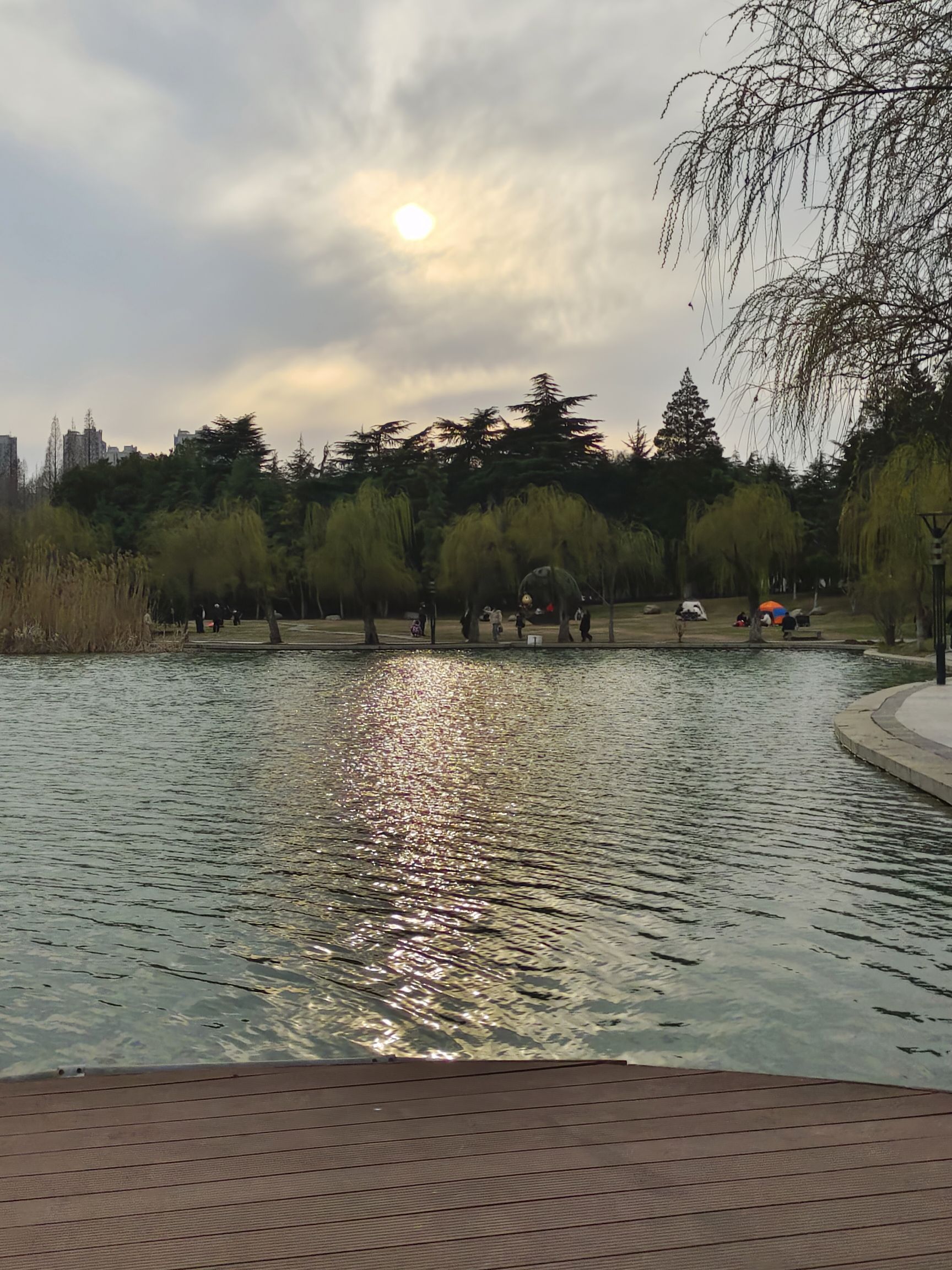 龙湖公园旅行图片 2