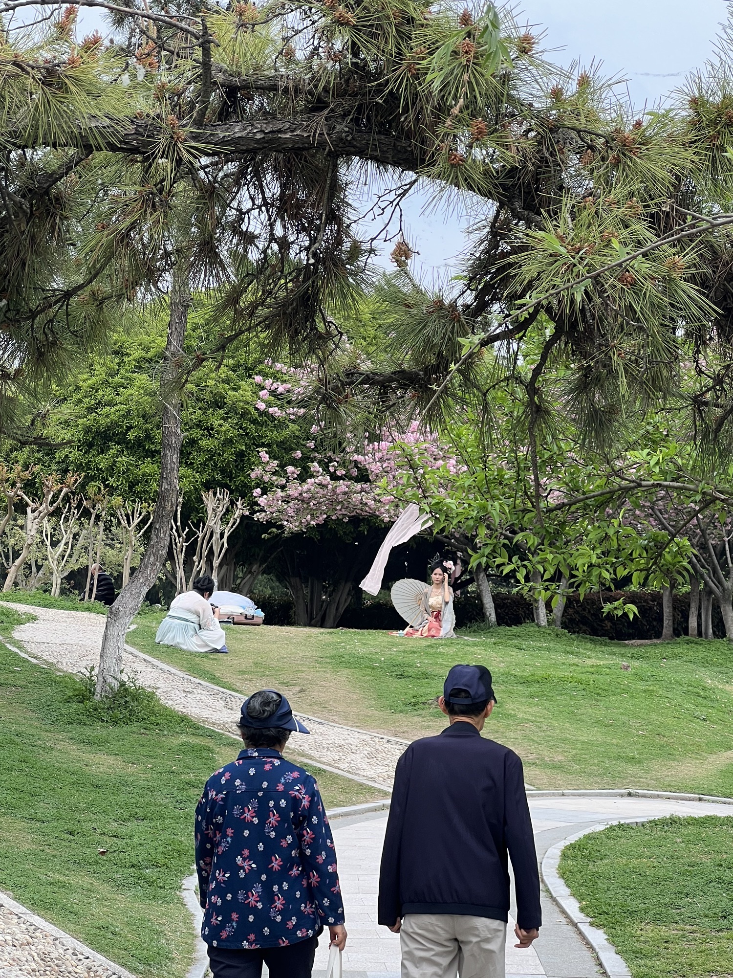 龙湖公园旅行图片 3