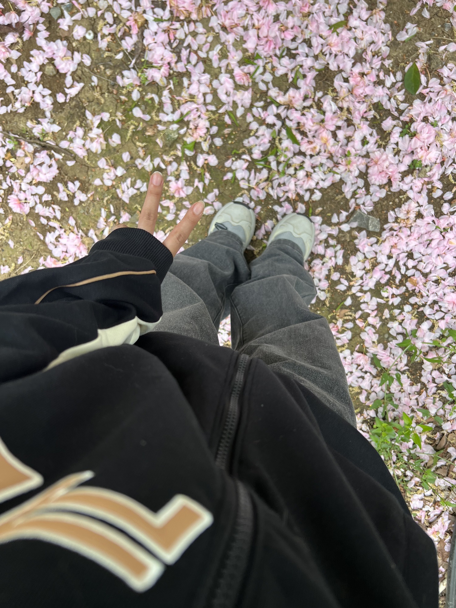 龙湖公园旅行图片 2