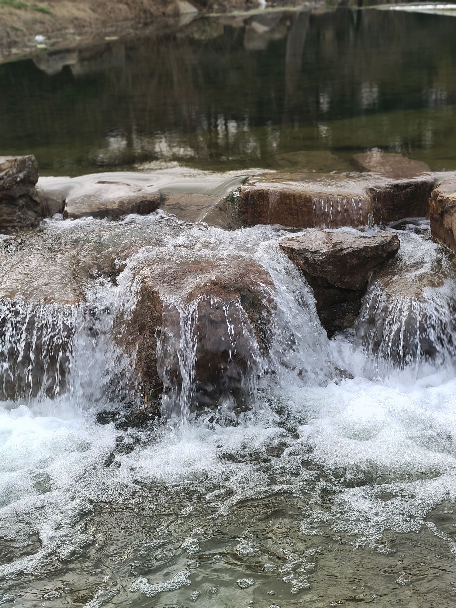 龙湖公园旅行图片 3