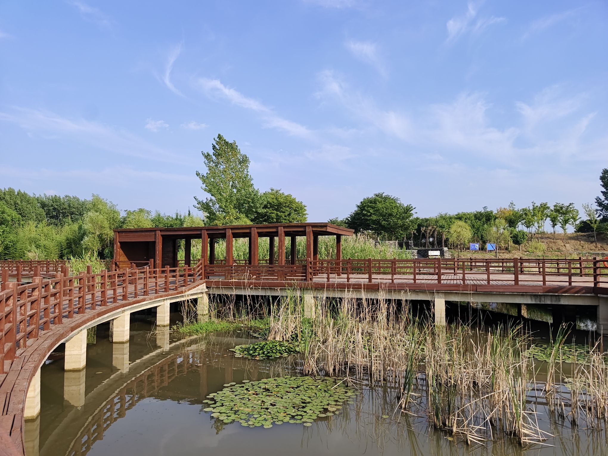 淮南市十涧湖国家城市湿地公园旅行图片 3