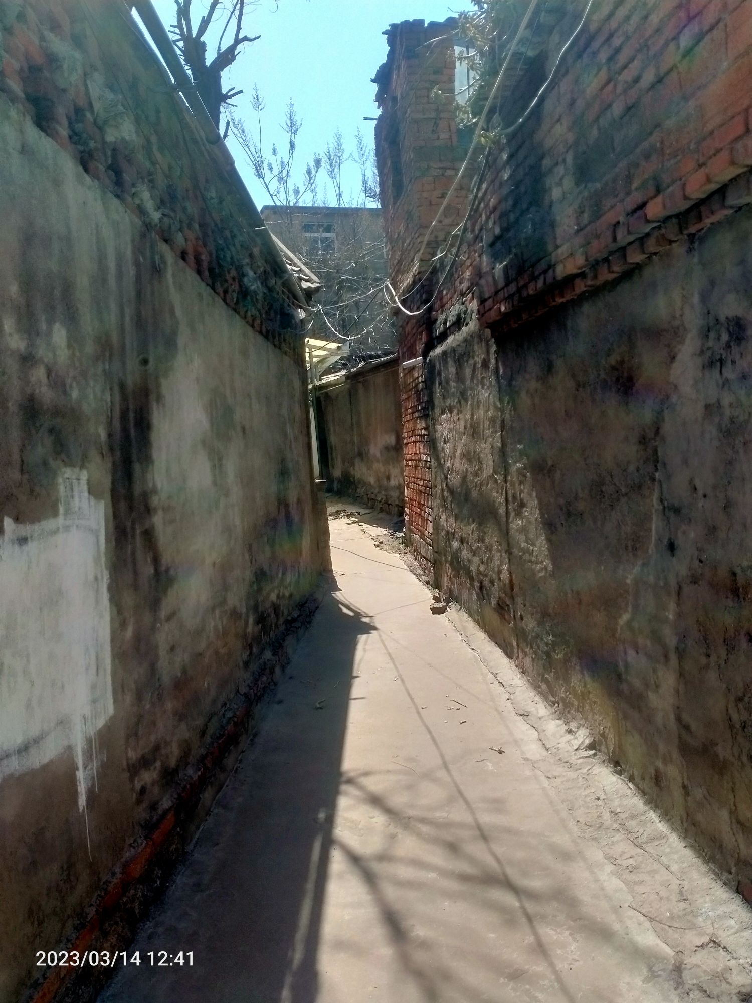 八公仙阁旅行图片 3