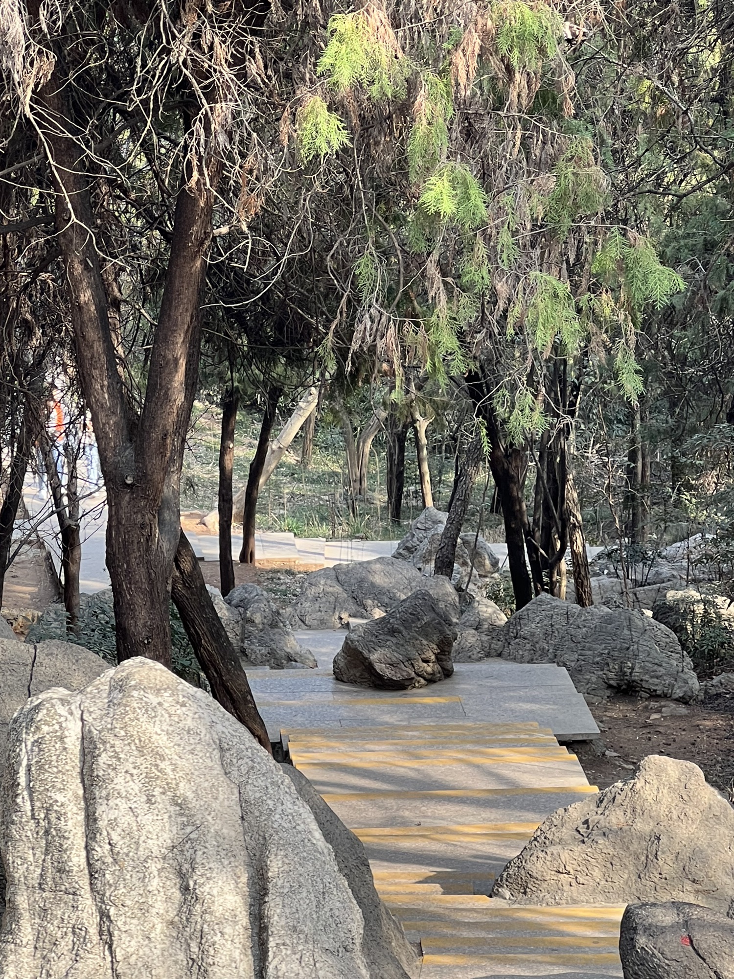 洞山游园旅行图片 2