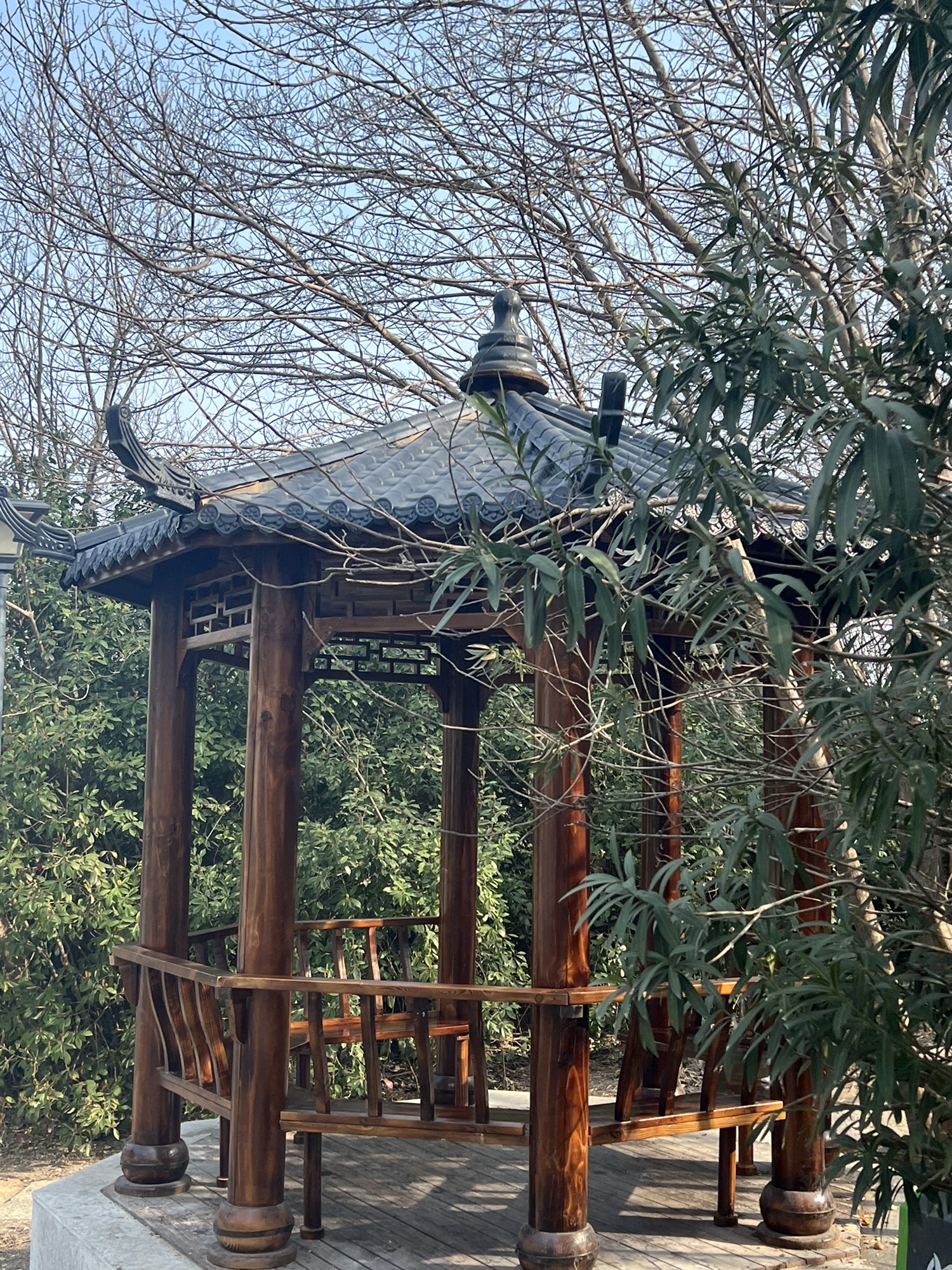 洞山游园旅行图片 3