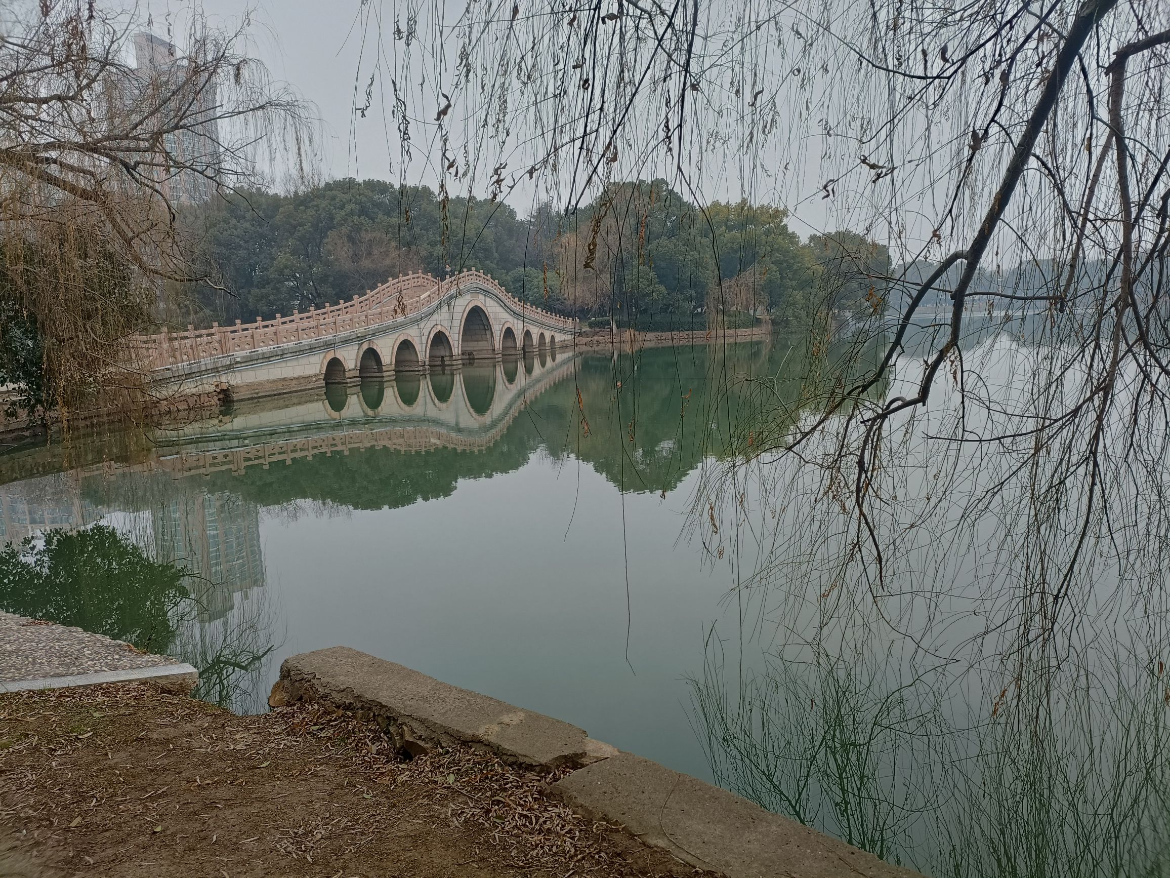 南湖公园旅行图片 3