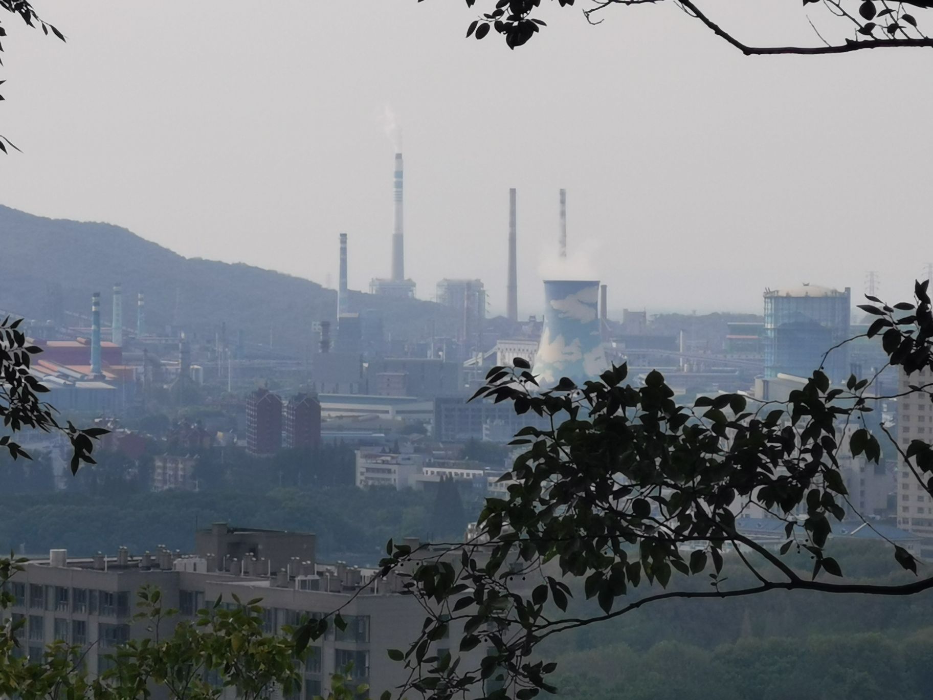 佳山公园旅行图片 1