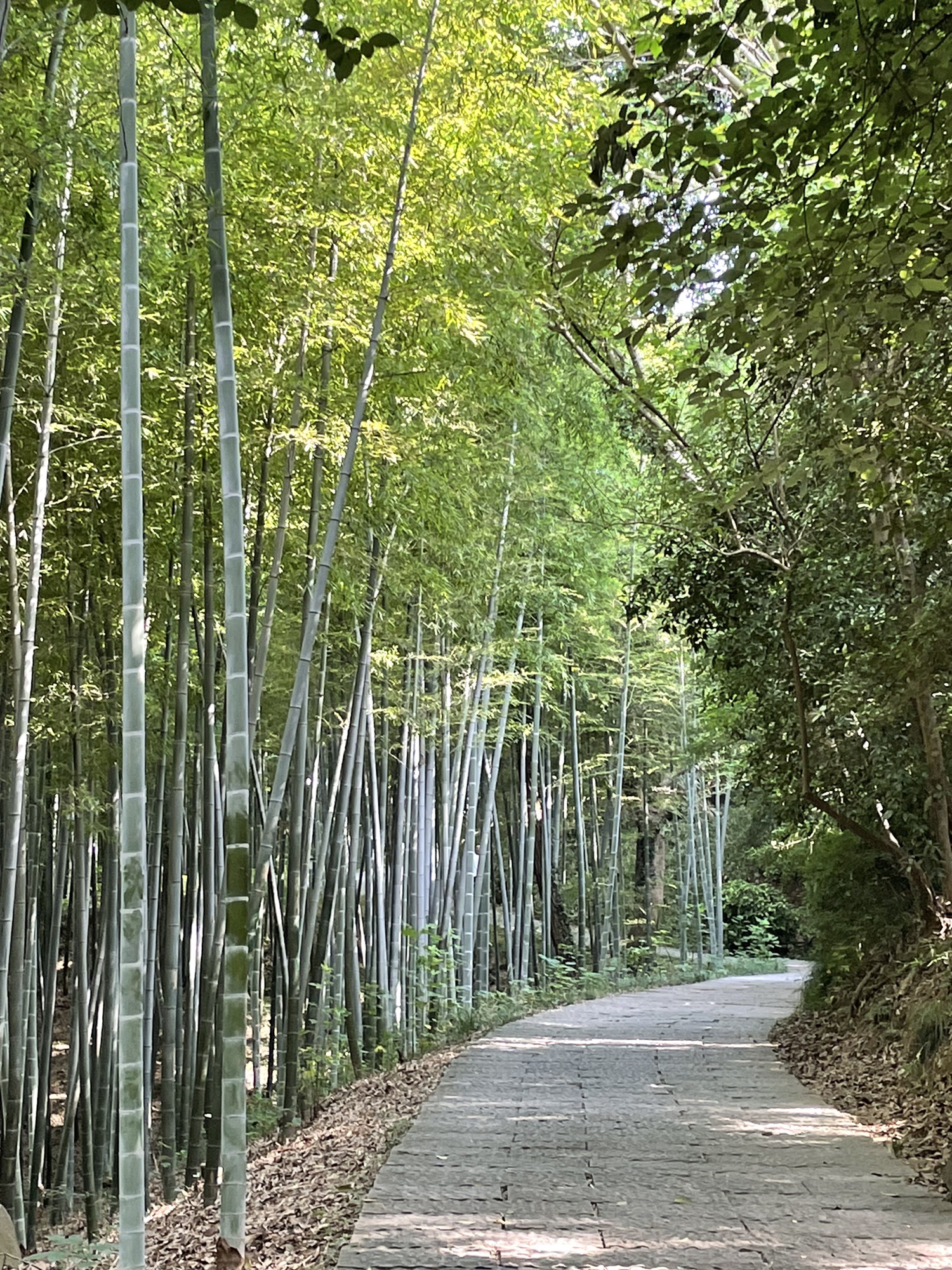 采石矶旅行图片 2