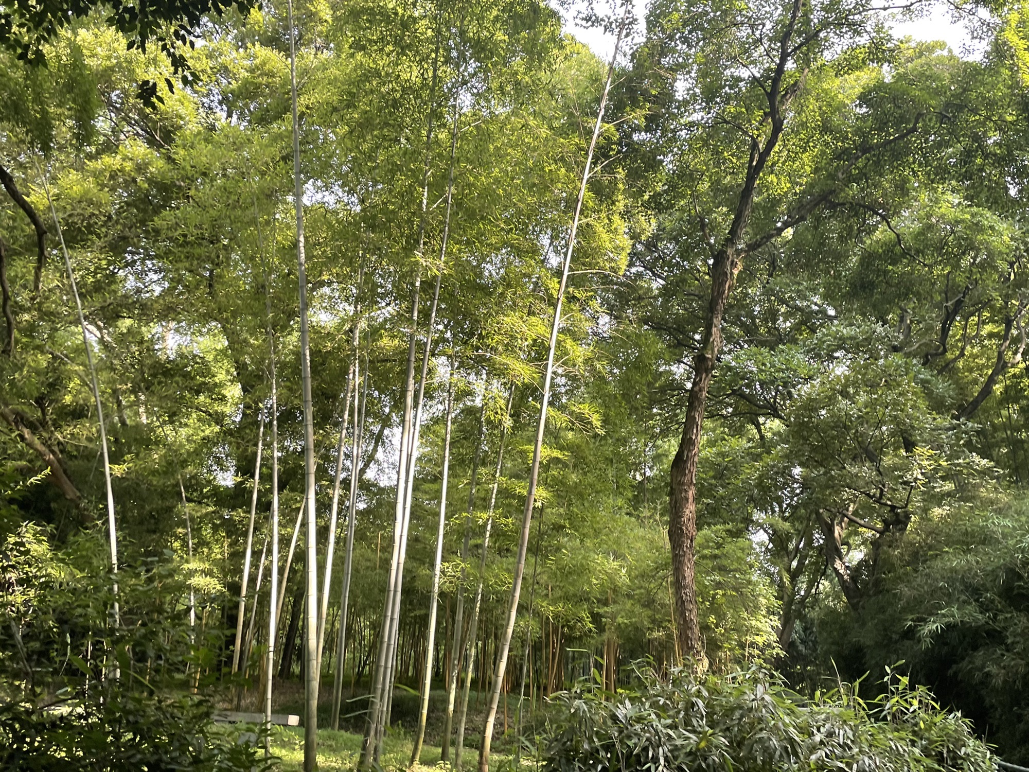采石矶旅行图片 3