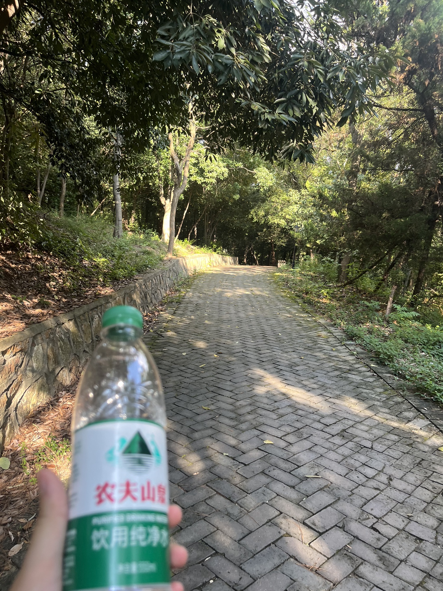 石山公园旅行图片 2