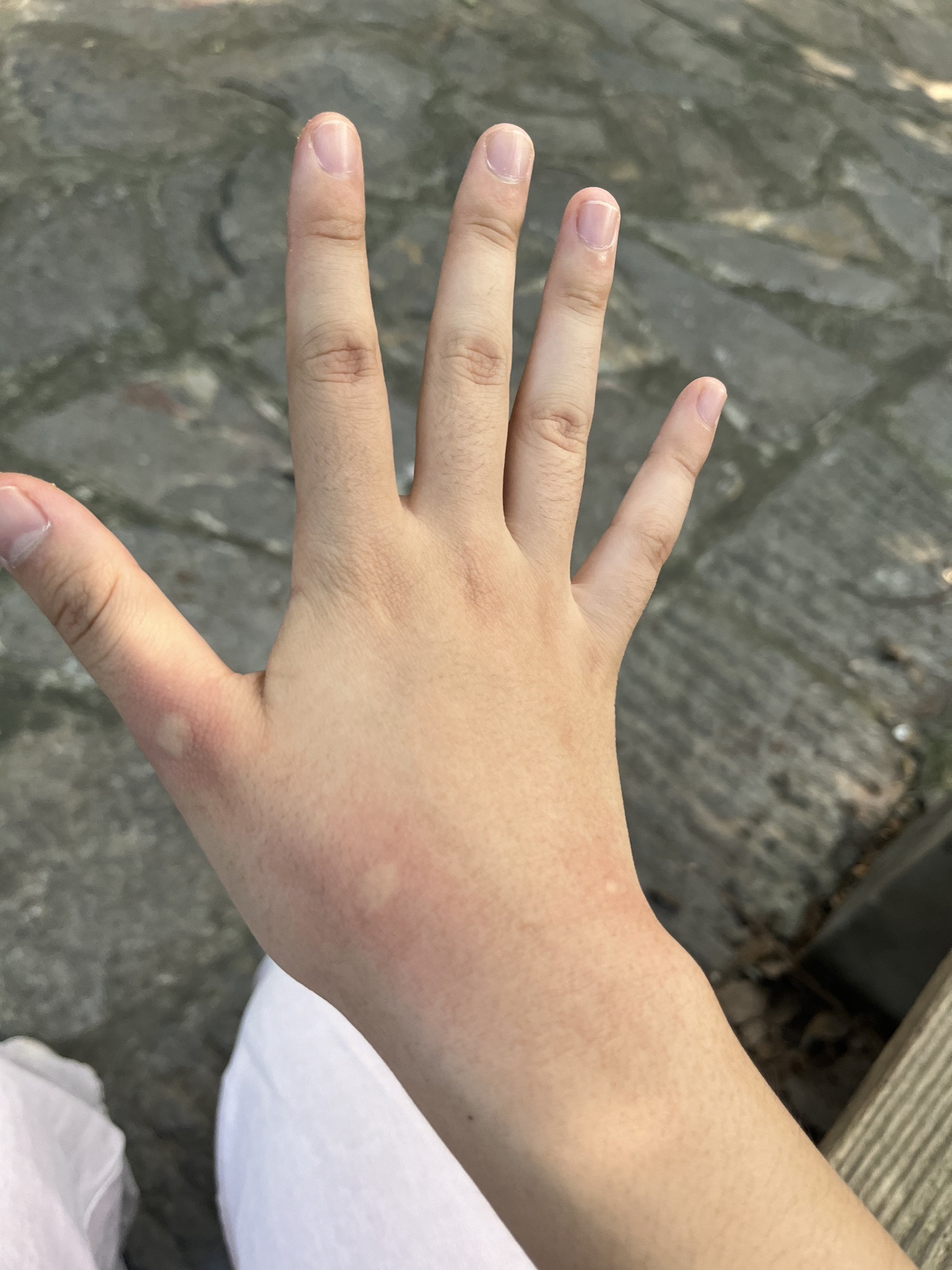 石山公园旅行图片 1