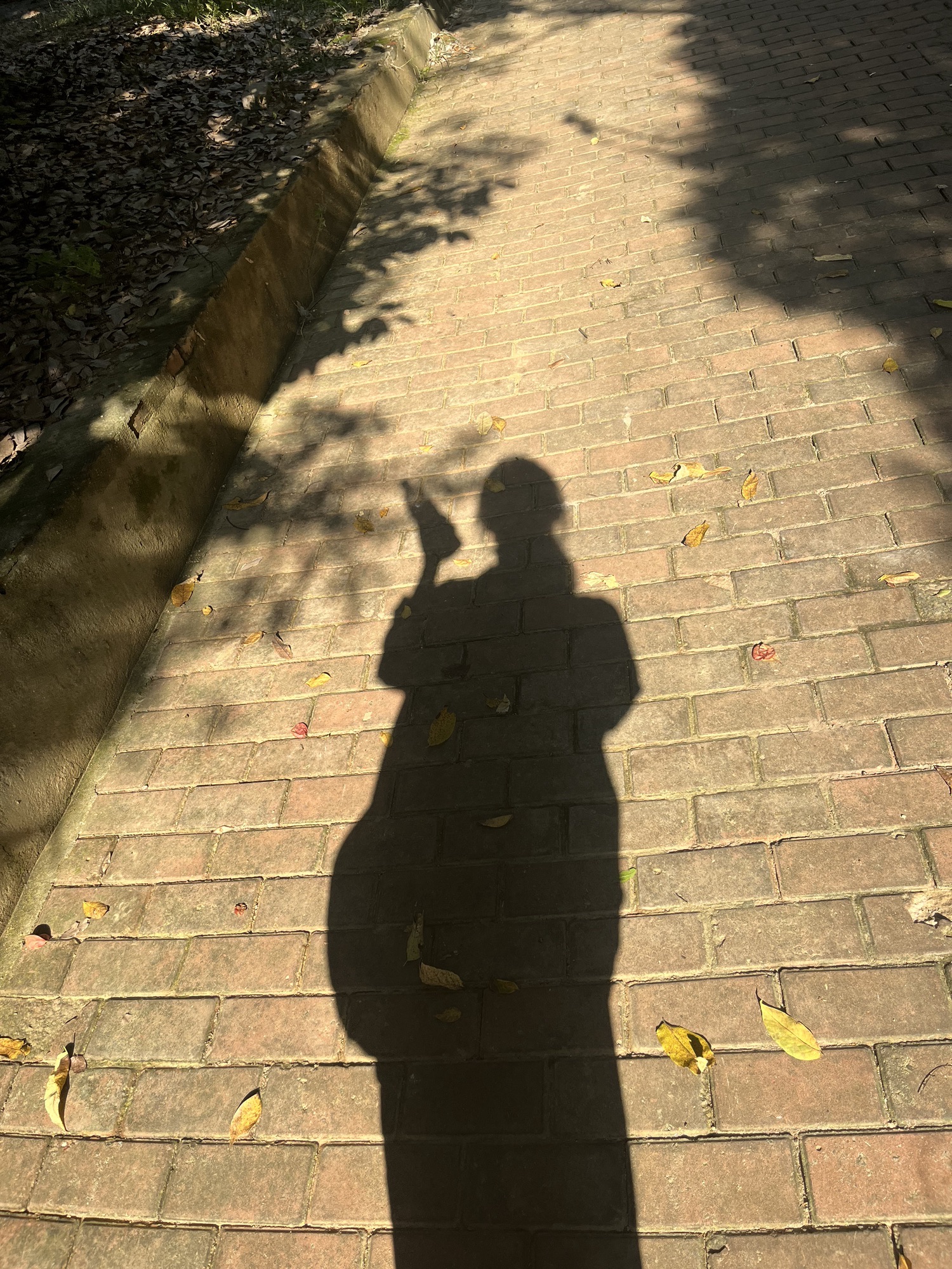 石山公园旅行图片 3