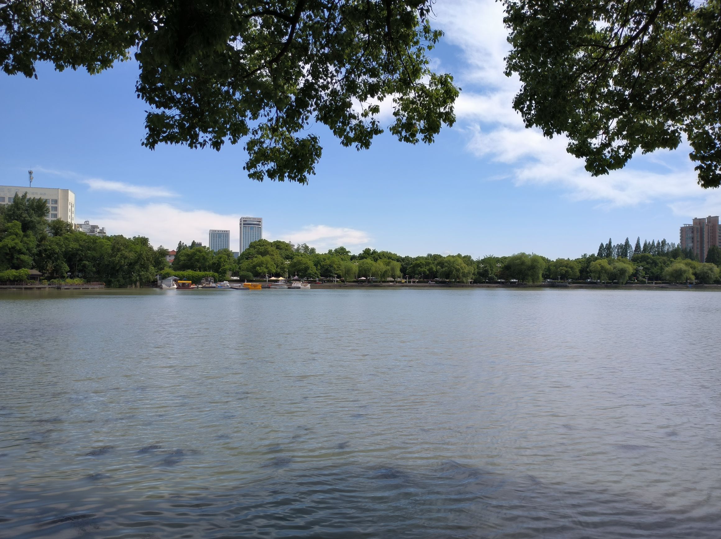 雨山湖公园旅行图片 2