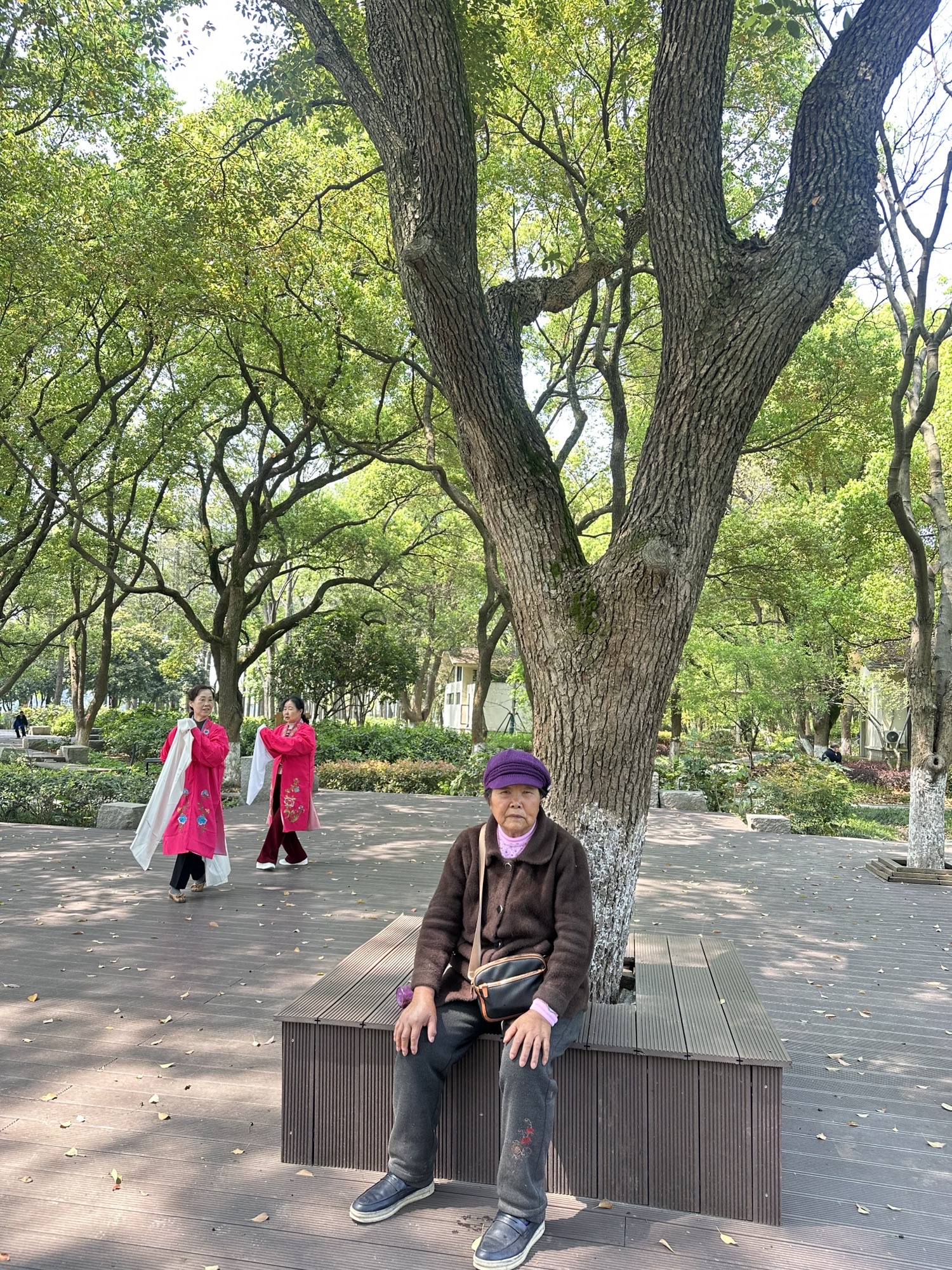 雨山湖公园旅行图片 3