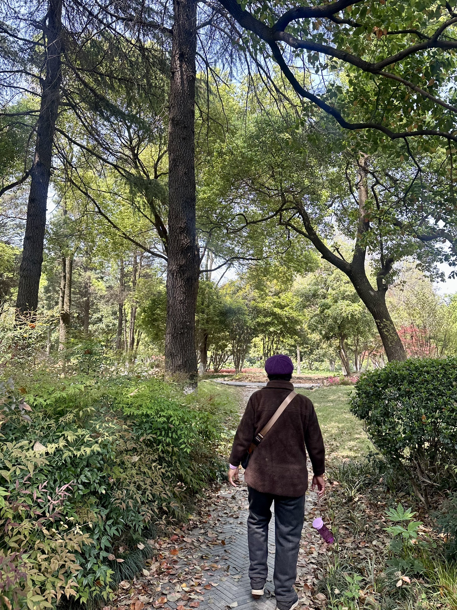 雨山湖公园旅行图片 2